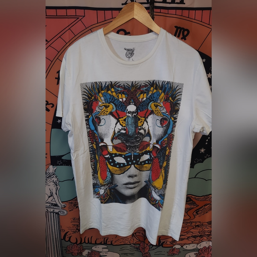 Volcom Artist Series - Mens L/G